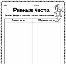 Равные части