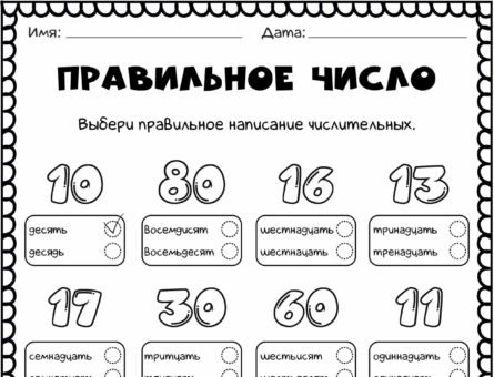 Правильное число
