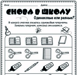 Снова в школу