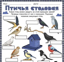Птичья столовая