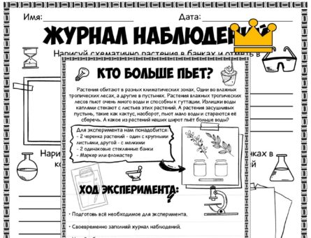 Кто больше пьет - эксперимент