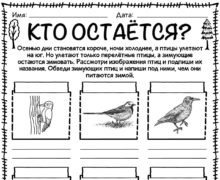 Кто остаётся?