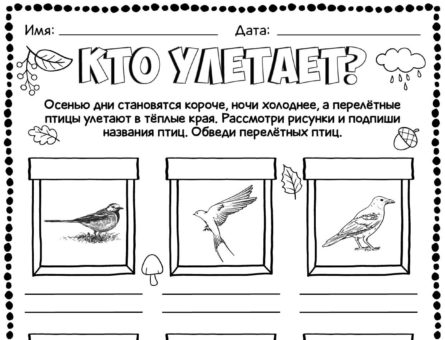 Кто улетает?