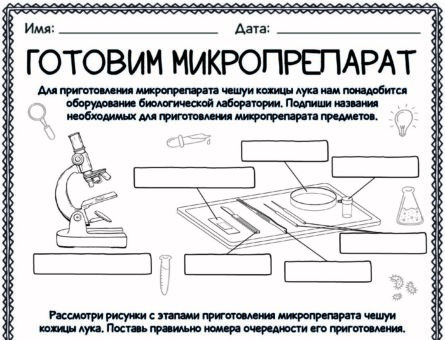 Готовим микропрепарат